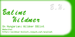 balint wildner business card