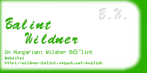 balint wildner business card